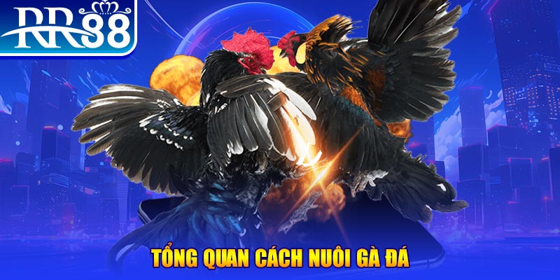 58win xổ số thứ ba